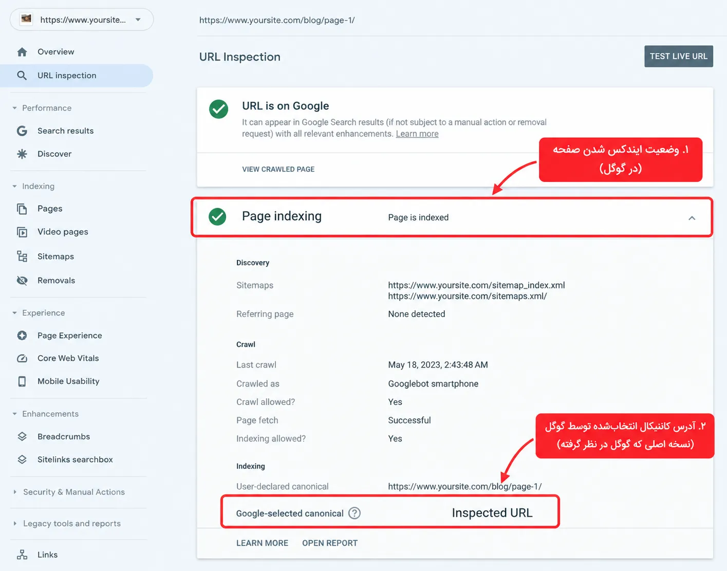 بررسی وضعیت ایندکسینگ در گوگل | امیر بهارزاده